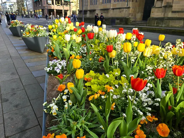 Foto: Heidrun Rosenberger