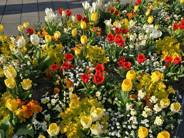 Foto: Heidrun Rosenberger