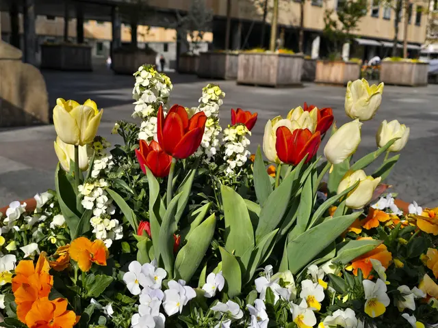 Foto: Heidrun Rosenberger