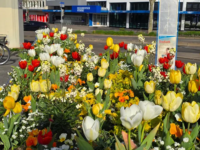 Foto: Heidrun Rosenberger