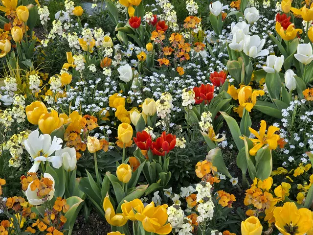 Foto: Heidrun Rosenberger