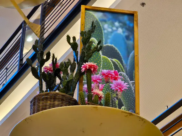 Die Dekoration - immer wieder schön gestaltet. | Foto: Heidrun Rosenberger