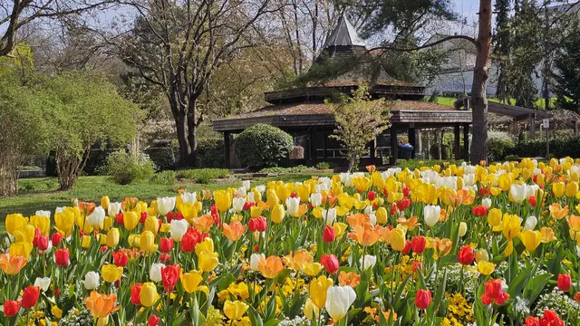 Foto: Heinrich Brehm