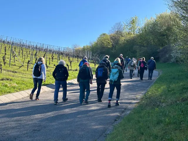 stetig bergauf zum Wildenberg | Foto: Albverein Weinsberg