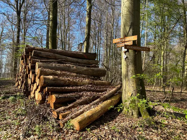 Der nächste Winter kommt bestimmt | Foto: Albverein Weinsberg