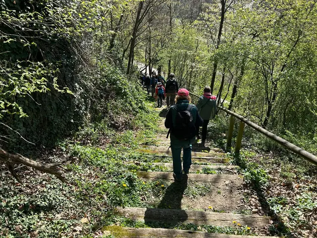 Von der Urbanushütte auf schmalen Stufen in die Weinberge | Foto: Albverein Weinsberg