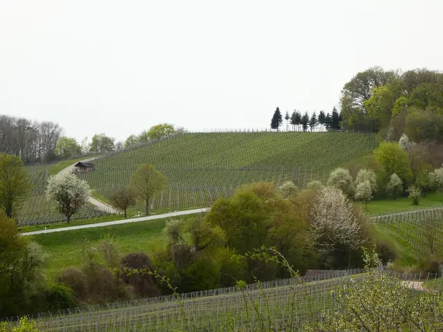 Landschaft bei Neipperg.   | Foto: sigischlottke