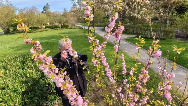 Foto: Heinrich Brehm