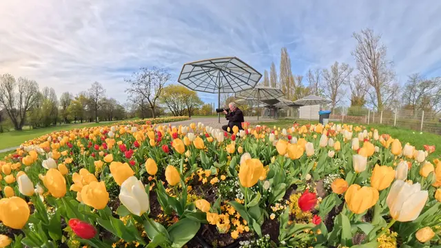 Foto: Heinrich Brehm