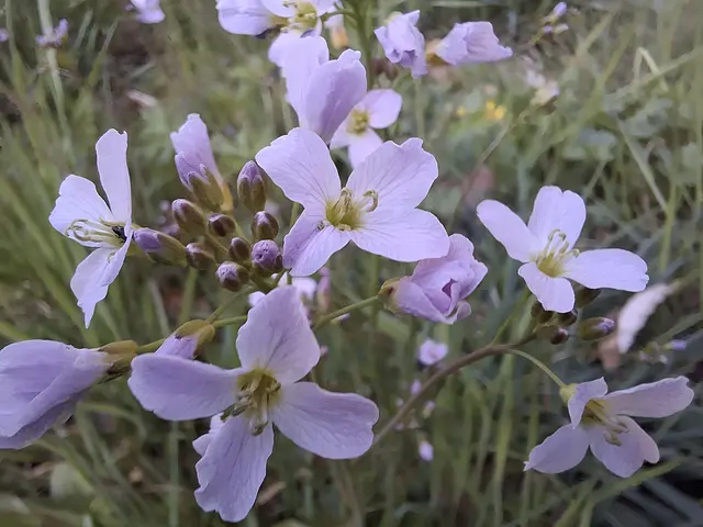 Foto: Norbert Sanftmann