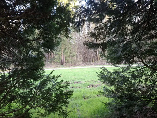 Foto: Norbert Sanftmann