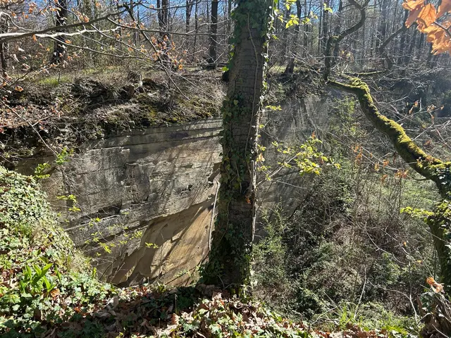 Steinbruch oberhalb von Wimmental | Foto: Albverein Weinsberg