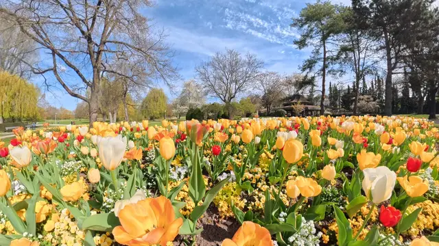 Foto: Heinrich Brehm