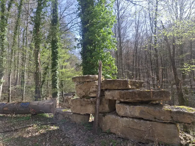 Foto: Norbert Sanftmann