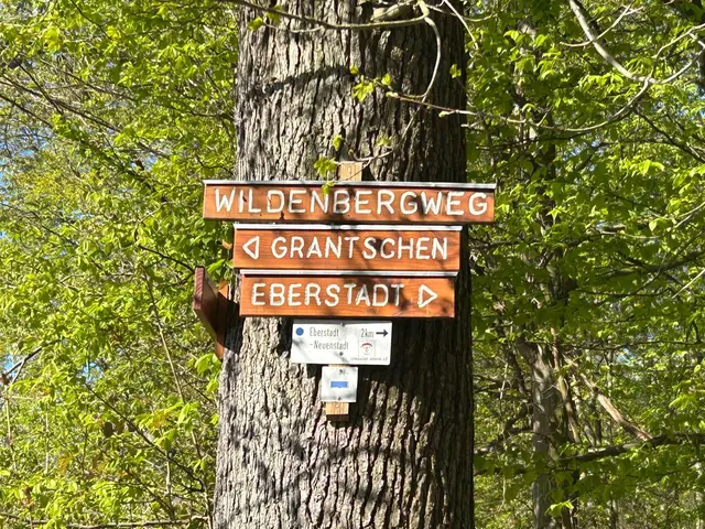 Gut ausgeschildert der Wald | Foto: Albverein Weinsberg