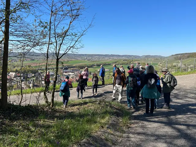In den Weinbergen der Panoramablick übers Tal | Foto: Albverein Weinsberg