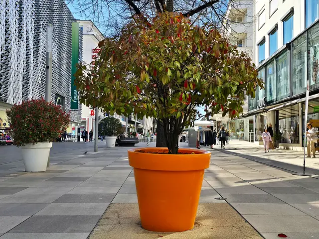 Übergrosse Blumentöpfe in ansprechenden Farbakzenten stehen in den Fussgängerzonen. | Foto: Heidrun Rosenberger
