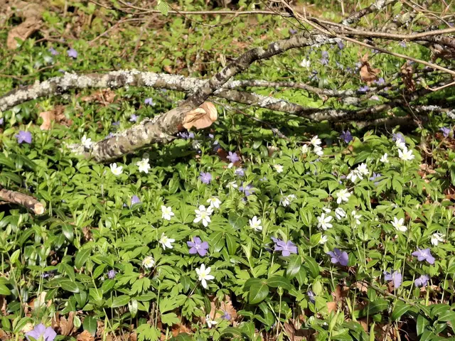 Foto: Norbert Sanftmann