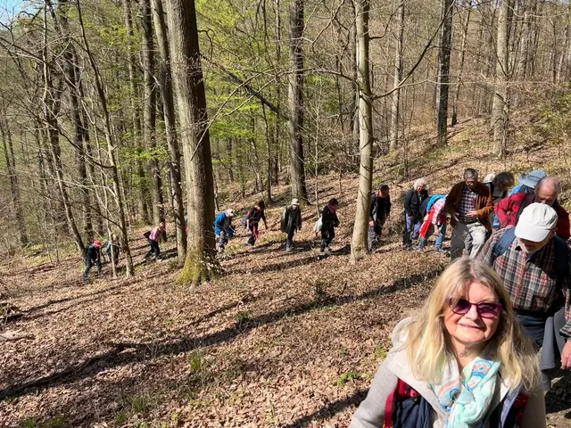 Wanderformation Einerr nach dem Anderen | Foto: Albverein Weinsberg