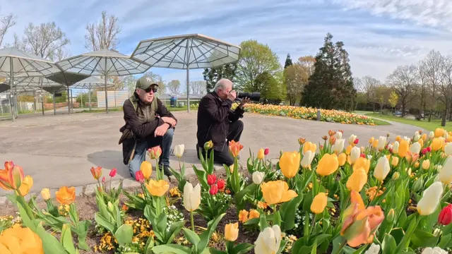 Foto: Heinrich Brehm