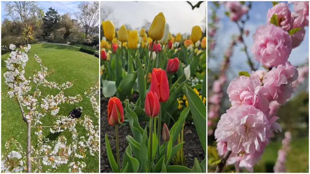 Foto: Heinrich Brehm