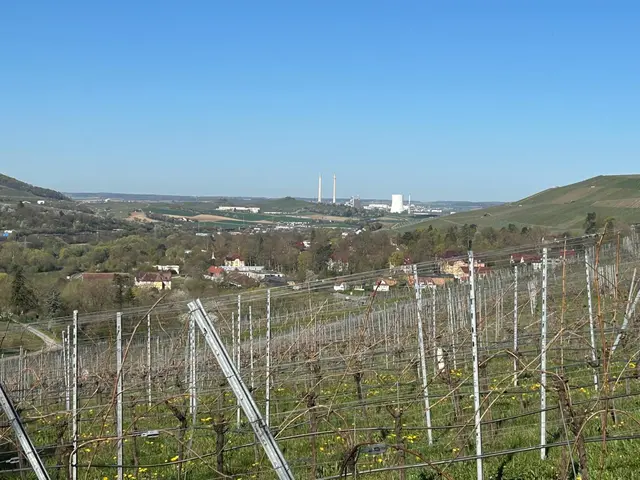 Blick von der Höhe über den Weissenhof bis nach Heilbronn | Foto: Albverein Weinsberg