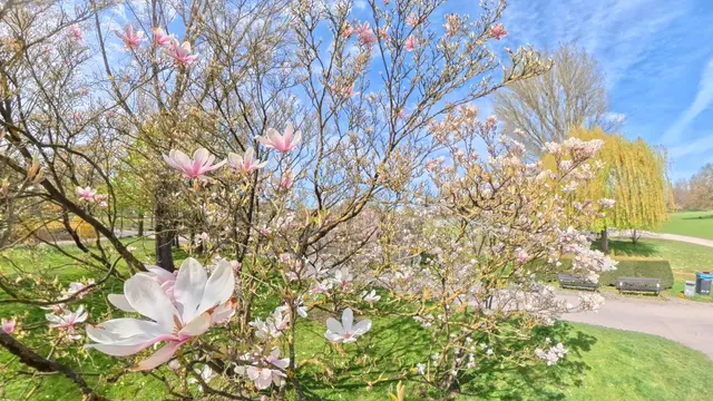 Foto: Heinrich Brehm