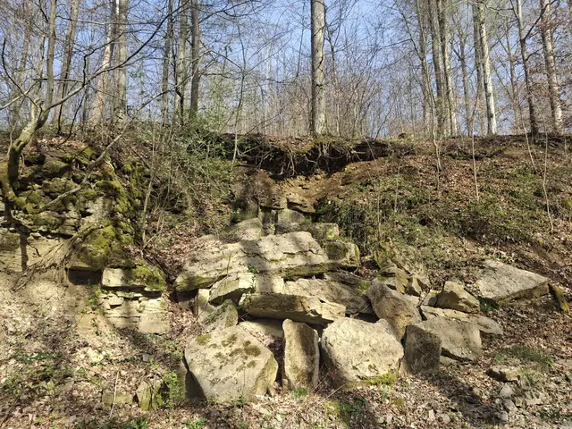 Foto: Norbert Sanftmann