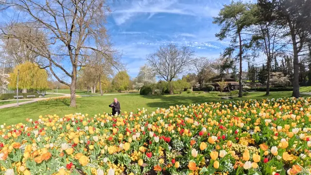 Foto: Heinrich Brehm