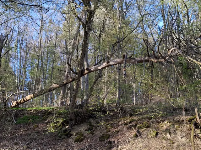 Foto: Norbert Sanftmann