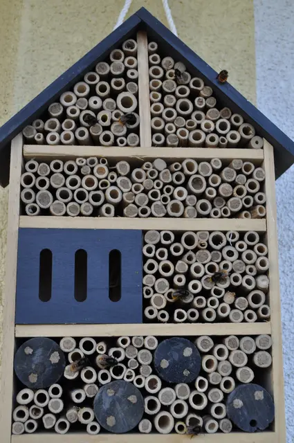 Das neue Bienenhotel ist schon gut belegt. Noch sitzen sie vor den Löchern und warten auf die wärmende Sonne. | Foto: Daniela Somers