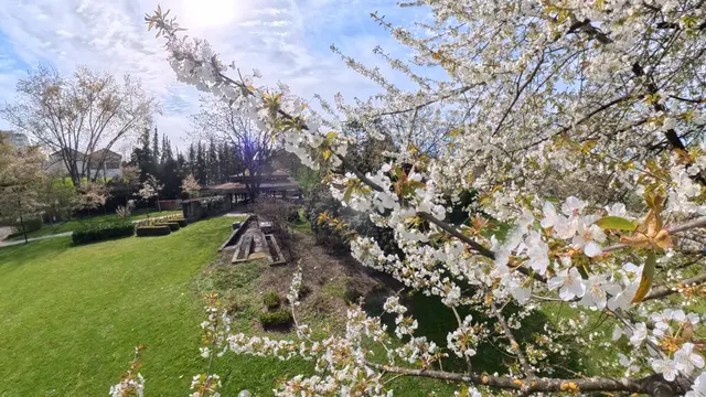 Foto: Heinrich Brehm