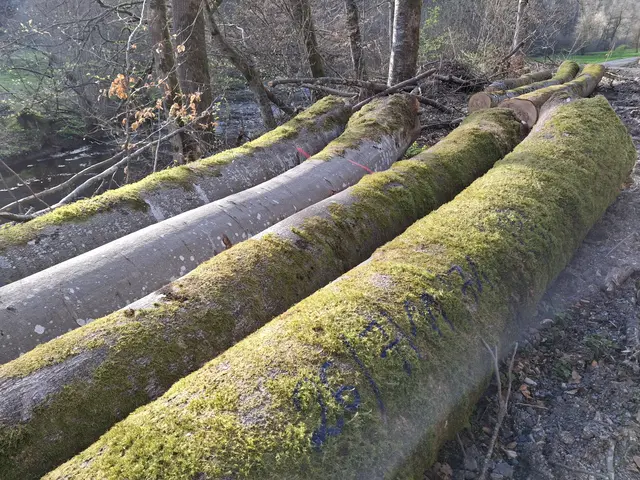 Foto: Norbert Sanftmann