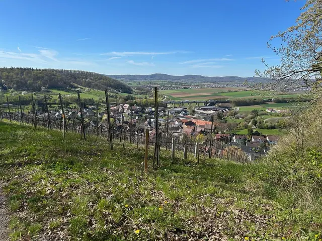 Blick auf Wimmental | Foto: Albverein Weinsberg