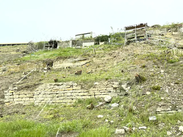 Foto: Heide Böllinger aus Bad Friedrichshall
