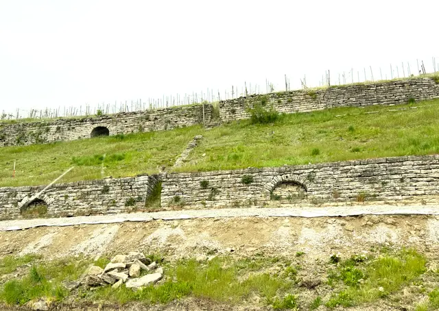 Foto: Heide Böllinger aus Bad Friedrichshall