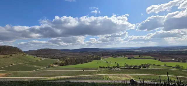 Weitblick. | Foto: privat Sibylle Tröber