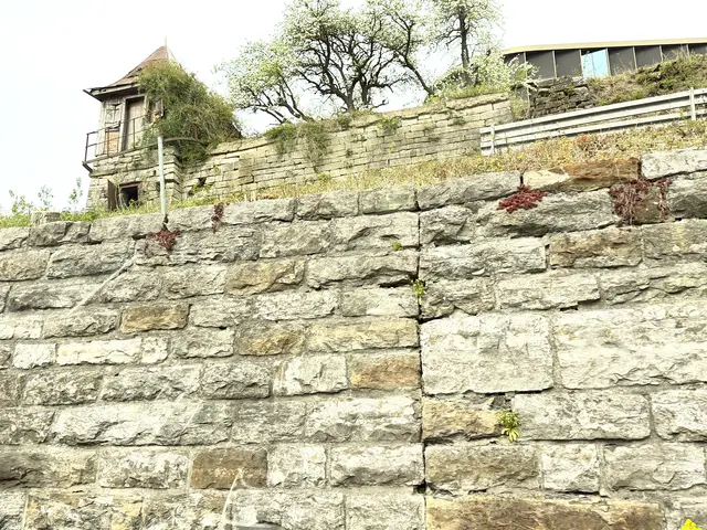 Foto: Heide Böllinger aus Bad Friedrichshall