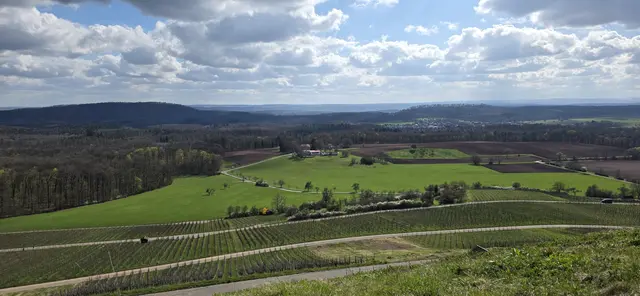 Weitblick. | Foto: privat Sibylle Tröber