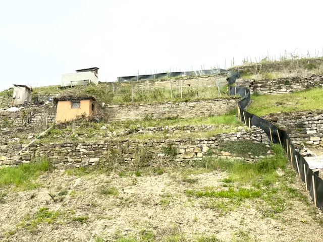 Foto: Heide Böllinger aus Bad Friedrichshall
