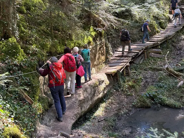 die Wege in der Schlucht | Foto: E. Rosendorf