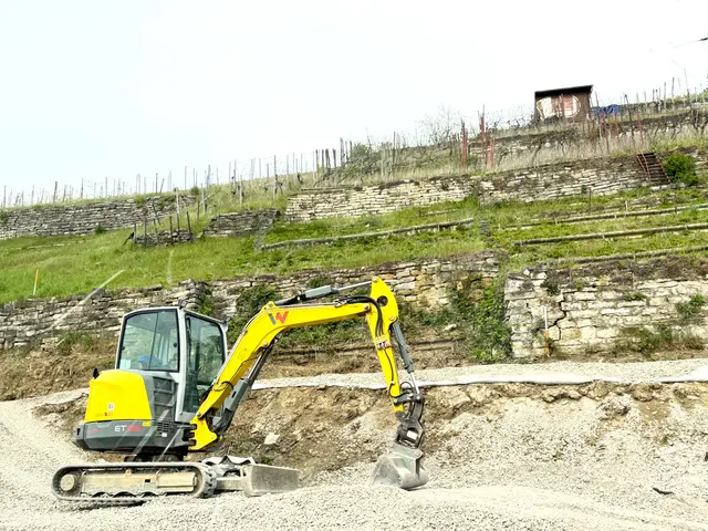 Foto: Heide Böllinger aus Bad Friedrichshall