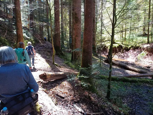 durch die Schlucht | Foto: E. Rosendorf