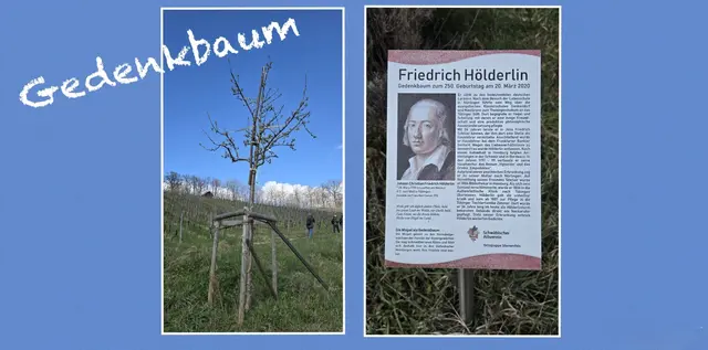 Da schau her ... Gedenkbaum für Friedrich Hölderlin. | Foto: privat Sibylle Tröber