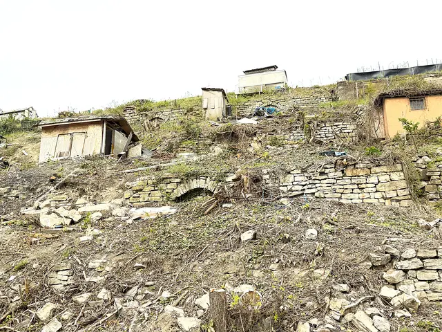Foto: Heide Böllinger aus Bad Friedrichshall