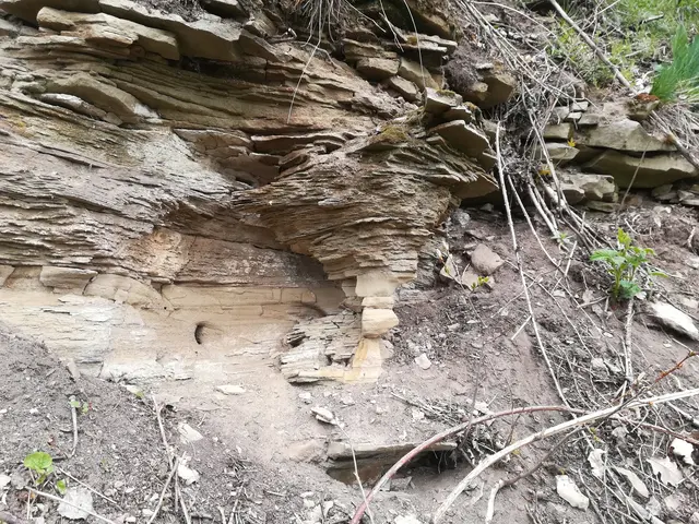 Versteckte Orte auf dem Heuchelberg | Foto: Lokale Agenda 21