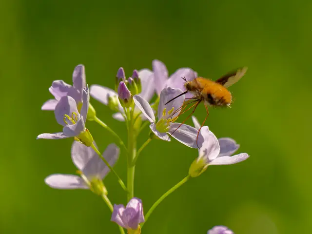 Foto: Eigenes Bild TB