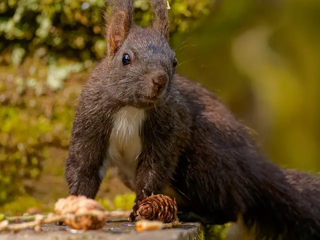 Foto: Eigenes Bild TB