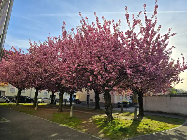 Foto: Heidrun Rosenberger