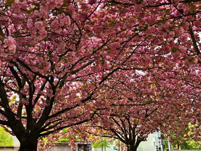 Foto: Heidrun Rosenberger